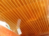 CFlor-on-ceiling